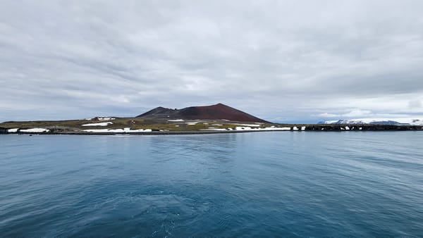Shackleton's Expedition: Survival and Death at the Bottom of the World